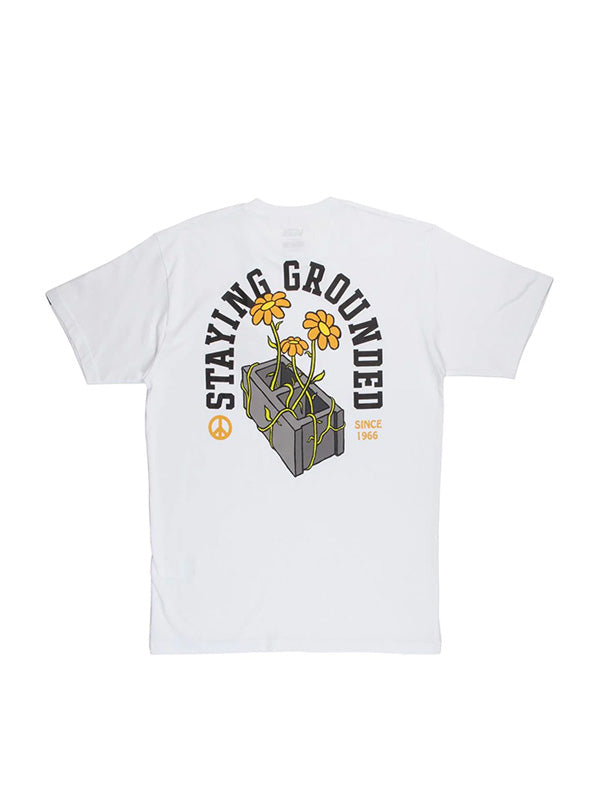 VANS <br> STAYING GROUNDED T-SHIRT